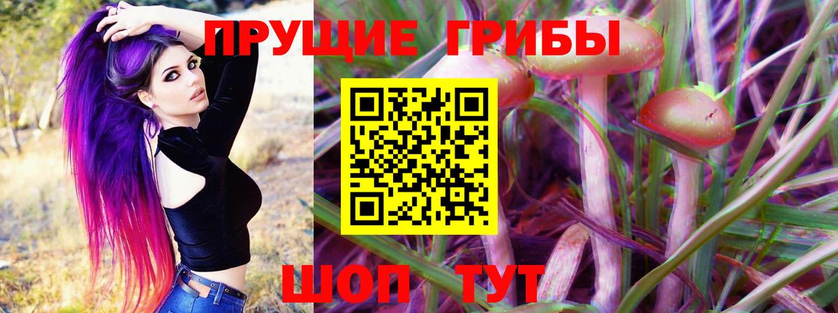 Псилоцибиновые грибы прущие грибы Волгоград