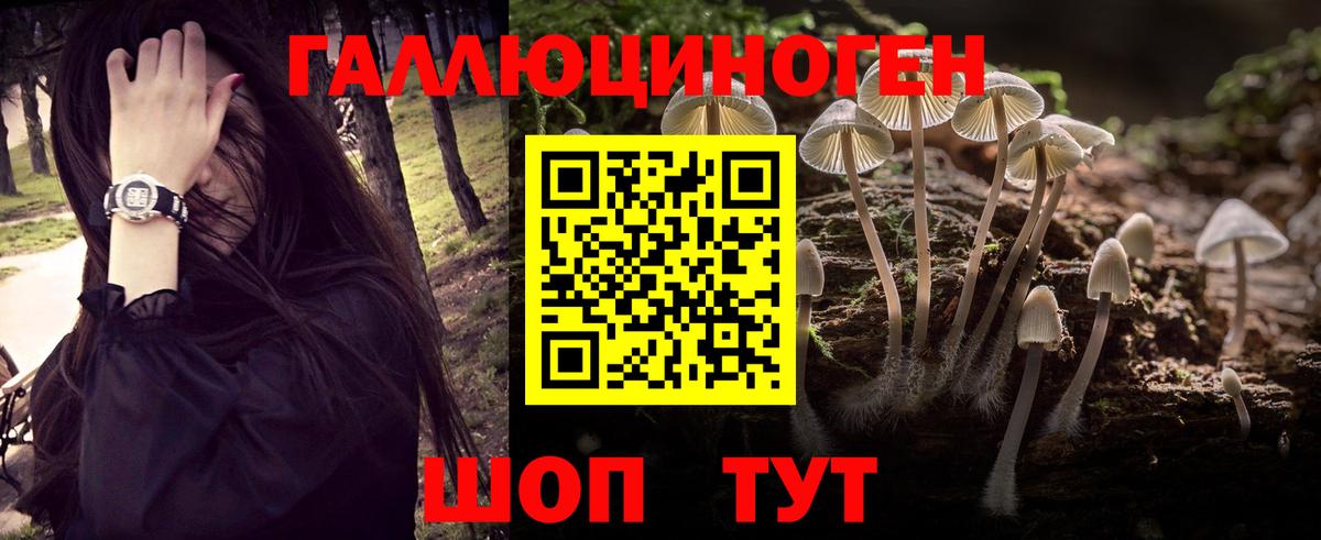 Галлюциногенные грибы Psilocybe  Вход с VPN  Волгоград 